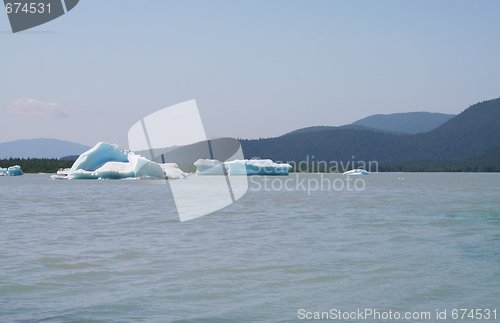 Image of Icebergs in Lake