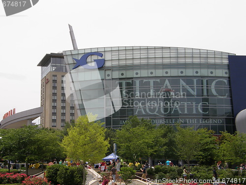 Image of Georgia Aquarium