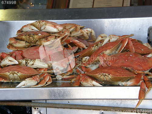 Image of Crabs