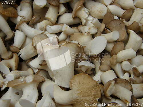 Image of Mushrooms