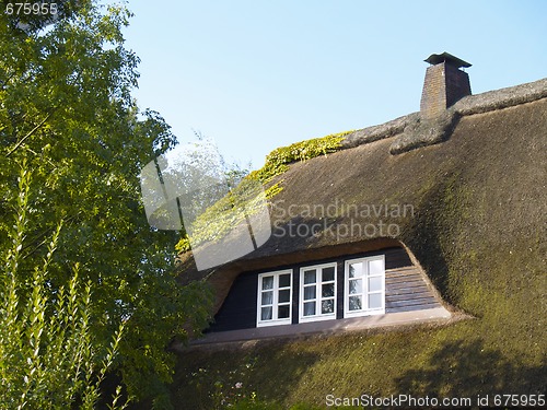 Image of thatched roof