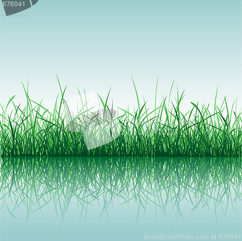 Image of Grass