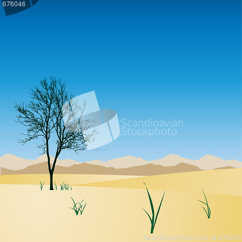 Image of Desert Landscape