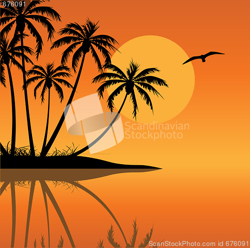 Image of Tropical Landscape