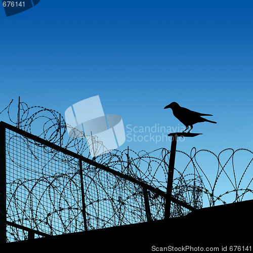 Image of Barbwire