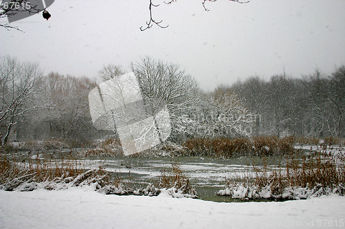 Image of winter