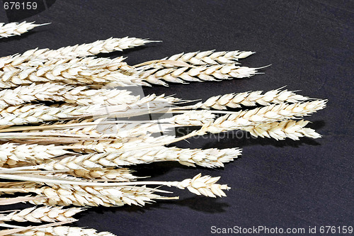 Image of Wheat