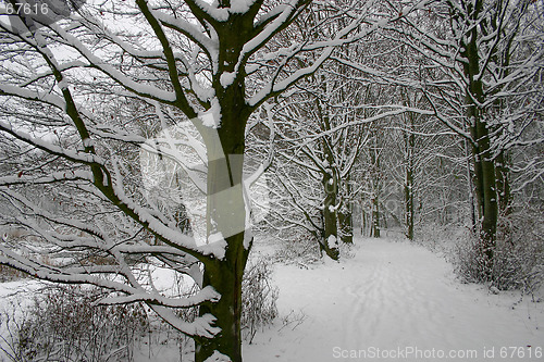 Image of winter