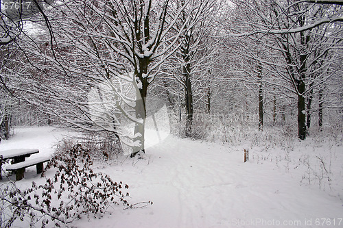 Image of winter