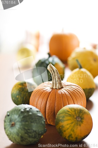 Image of Pumpkins