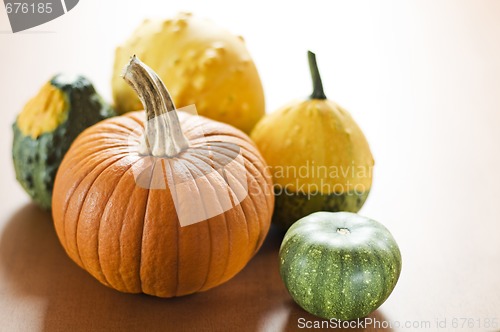 Image of Pumpkins