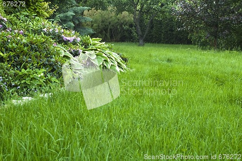 Image of peaceful garden