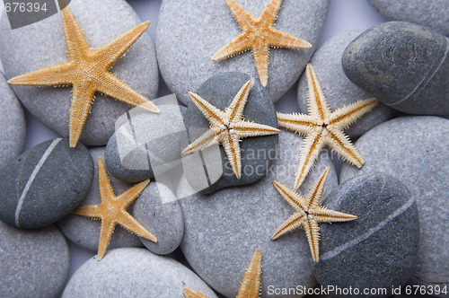 Image of Starfish and Pebble Background