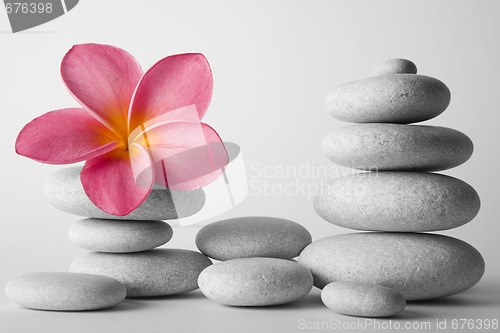 Image of Stone Stack and Frangipani Flower