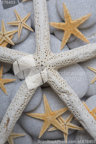 Image of Starfish and Pebble Background