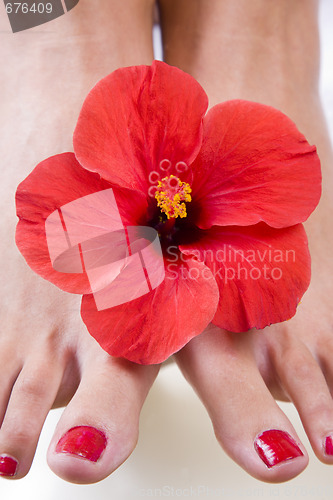 Image of Tropical Footspa