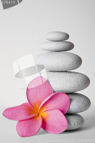 Image of Stone Stack and Frangipani Flower