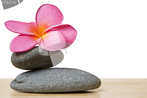 Image of Stone Stack and Frangipani Flower