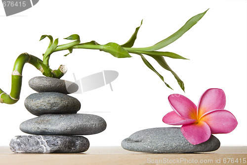 Image of Stone Stack and Frangipani Flower With Spiral Bamboo