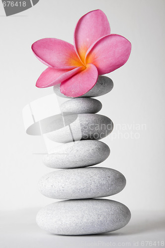 Image of Stone Stack and Frangipani Flower