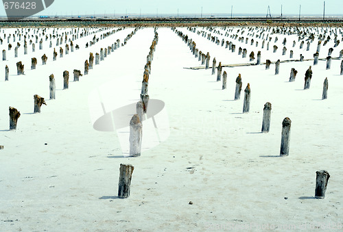 Image of salty lake Baskunchak,Russia