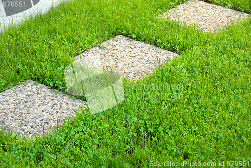 Image of Path in lawn