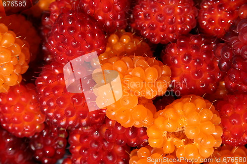 Image of Salmonberries