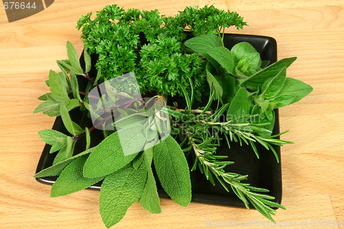Image of Green fresh herbs