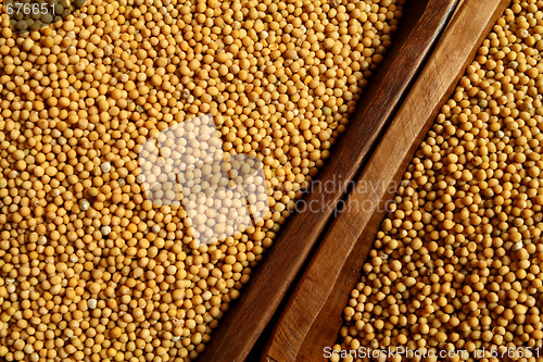 Image of Mustard background