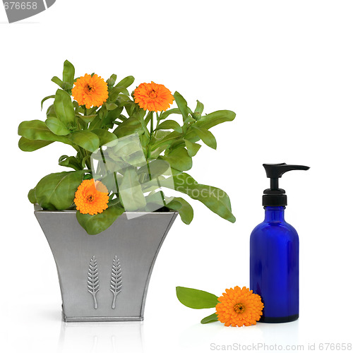 Image of Calendula Flowers and Hand Cream