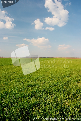 Image of Field