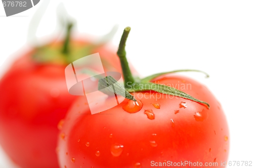 Image of Tomatos