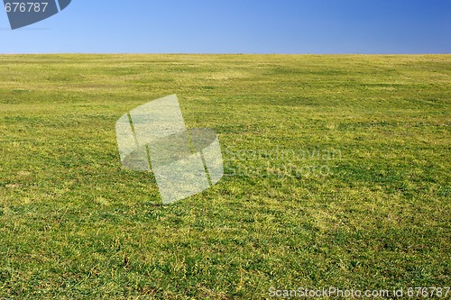 Image of Field