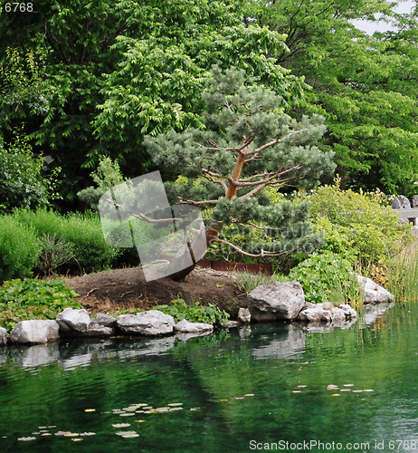 Image of japanese garden