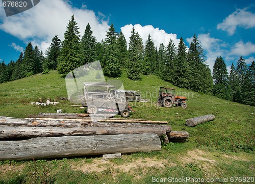 Image of Rural Scene