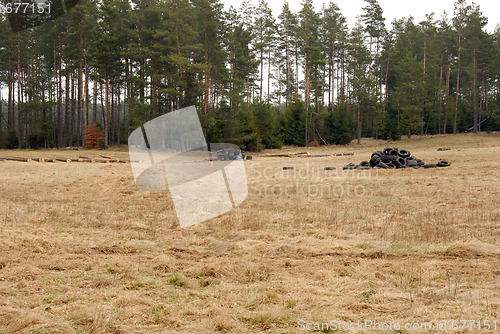 Image of Junkyard in nature.