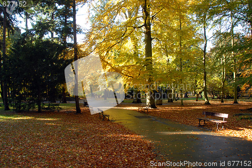 Image of Autumn in an park