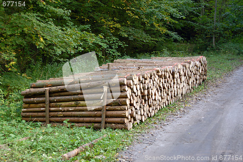 Image of pile of Wood