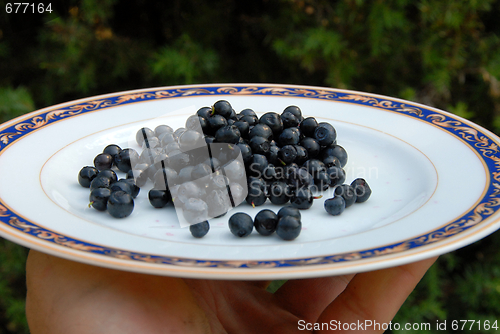 Image of berry on the plate