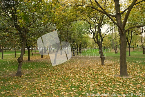 Image of Autumn