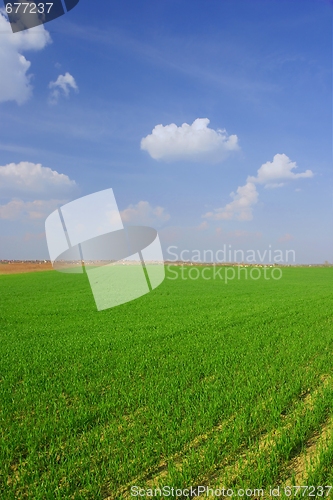 Image of Field