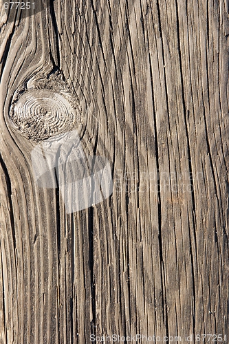 Image of Wood