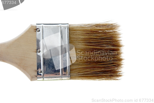 Image of Brush