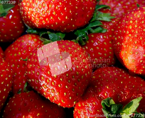 Image of Strawberry