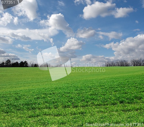 Image of Field