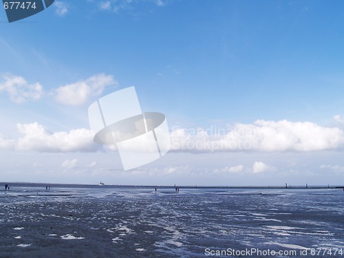 Image of low tide tideland