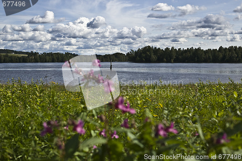 Image of glomma