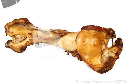 Image of Dog bone