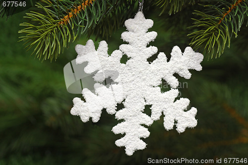 Image of Chrismas star