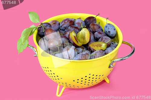 Image of Fresh plums